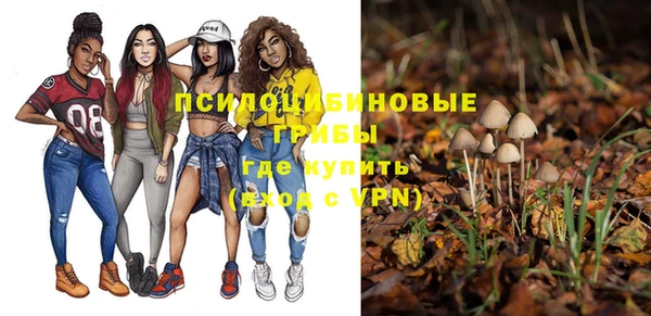 тгк Балахна