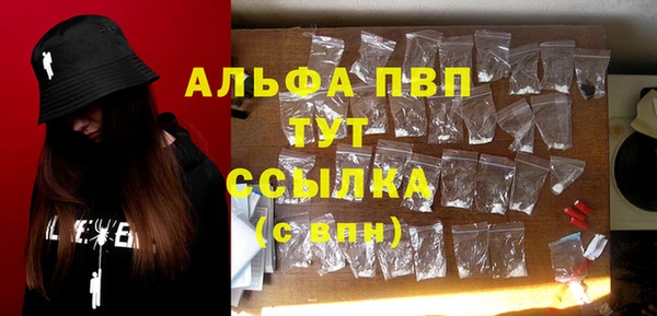 ECSTASY Новодвинск