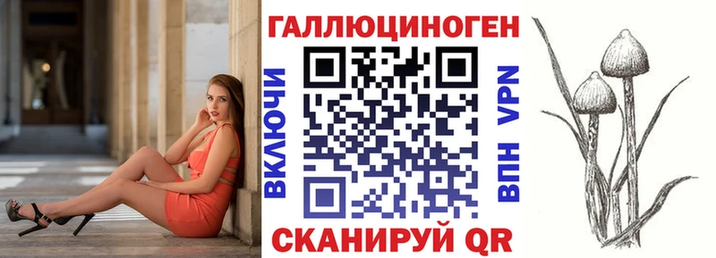 Псилоцибиновые грибы GOLDEN TEACHER Стародуб