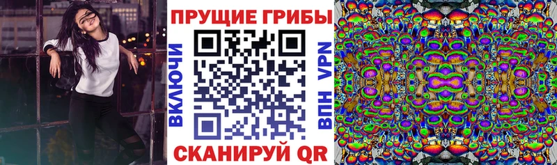 Псилоцибиновые грибы мицелий  мега как зайти  Стародуб 